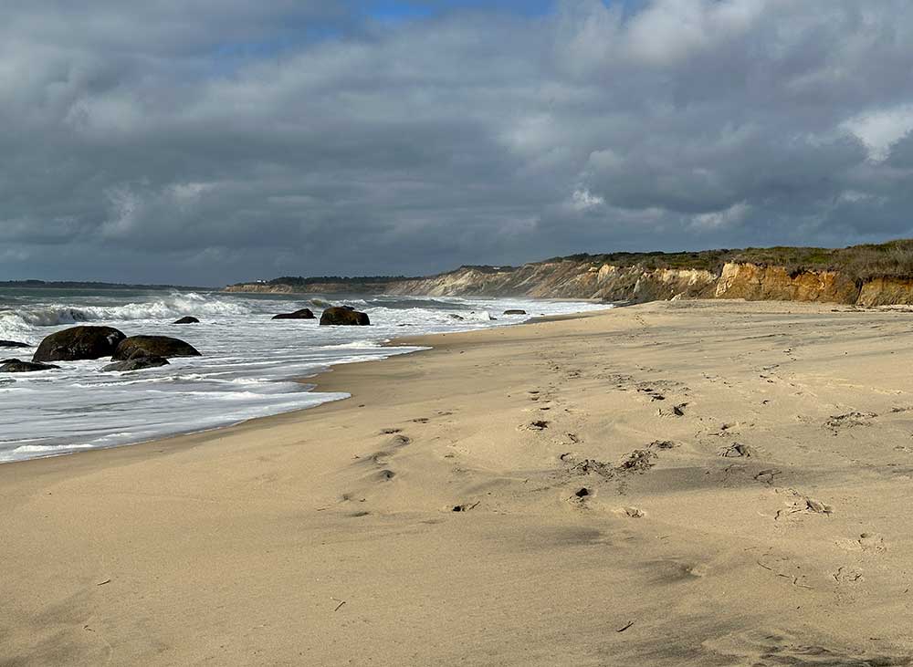 Coastal Landscape of Martha’s Vineyard