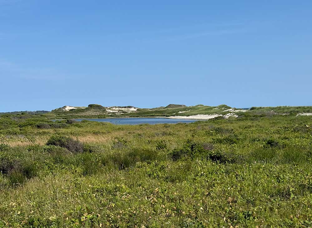 Trail at Squibnocket Pond Reservation on Martha’s Vineyard