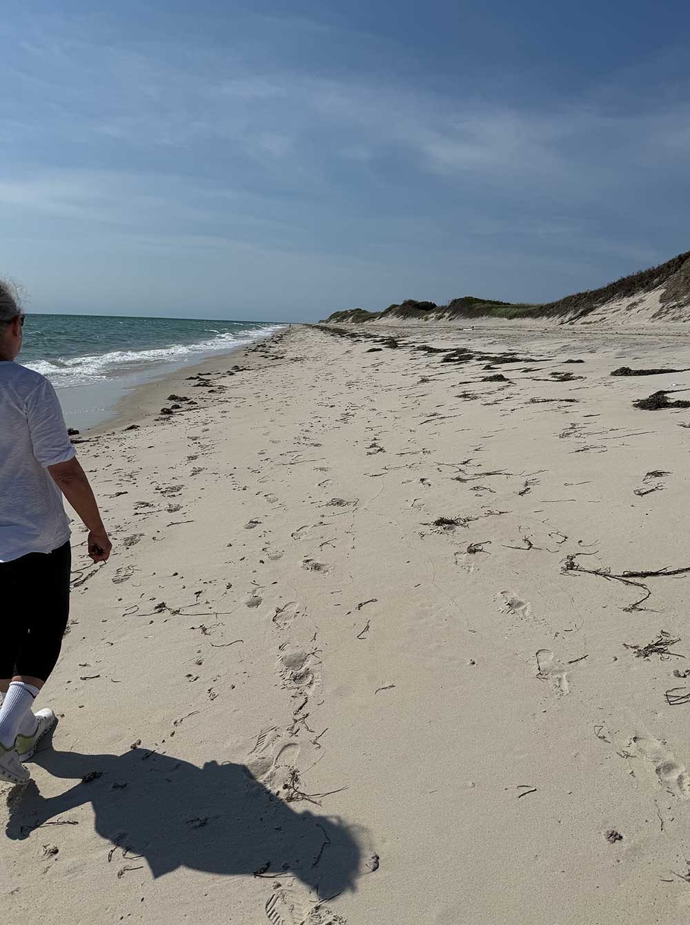 Walking Along the Coastline at Squibnocket Pond Reservation on Martha’s Vineyard
